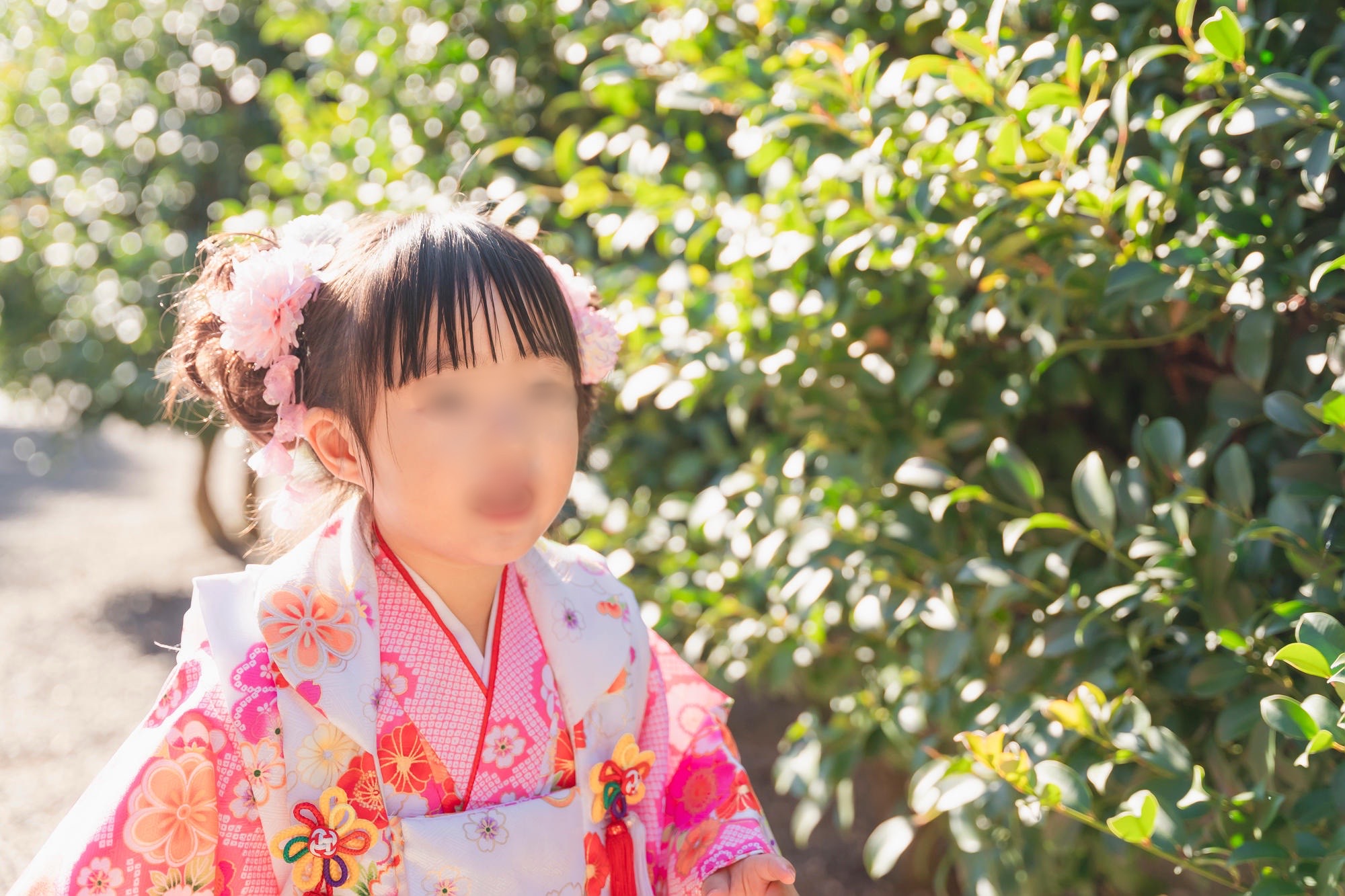 七五三の出張撮影で神社で撮影する女の子の様子